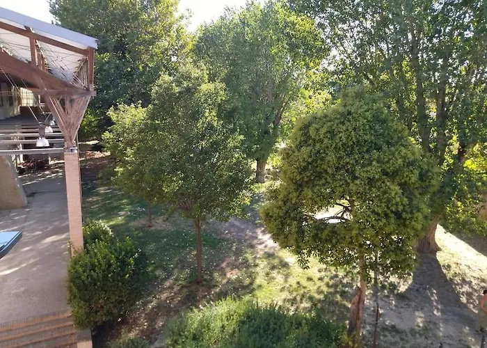 Ampio Monolocale Nel Cuore Di * 佩萨罗